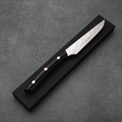 Takeshi Saji STEAK KÉS - Gyémánt Damaszk - Micarta /- SG2 - 130mm