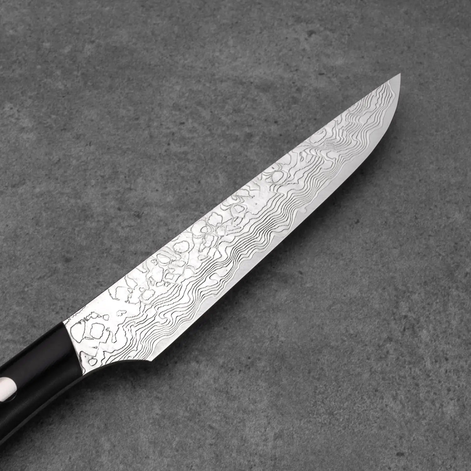 Takeshi Saji STEAK KÉS - Gyémánt Damaszk - Micarta /- SG2 - 130mm