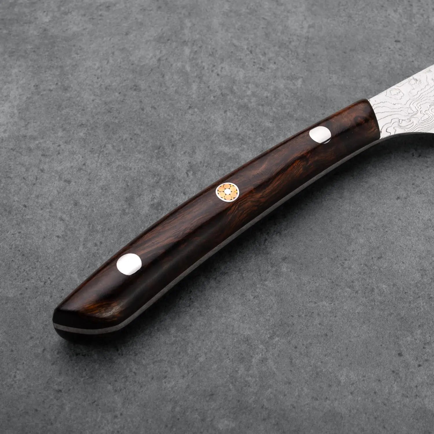 Takeshi Saji STEAK KÉS - Gyémánt Damaszk - Micarta /- SG2 - 130mm