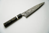 Takeshi Saji - R2 Damascus Black Finished - PETTY 150mm