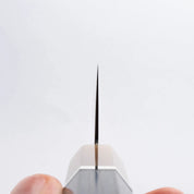 HATSUKOKORO - Rhyuhyo Kurozume Damscus - SG2 - SANTOKU - 180mm