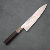 GYUTO - Blue #2 - Hayabusa Rainbow Damascus - Wenge - 210 mm
