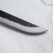 NIGARA - SG2 - Kurouchi Tsuchime - Sakimaru SUJIHIKI / Szeletelő kés - 270 mm