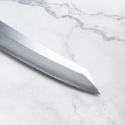 HATSUKOKORO - Ginsan - Kiritsuke YANAGIBA - 270 mm