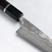Takeshi Saji - VG10 - Damascus Black Finish - PETTY - 130 mm