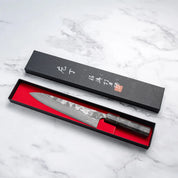 Takeshi Saji - VG10 - Damascus Black Finish - GYUTO - 240 mm