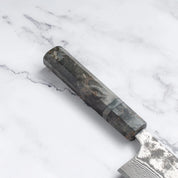 Takeshi Saji - VG10 - Damascus Black Finish - GYUTO - 240 mm