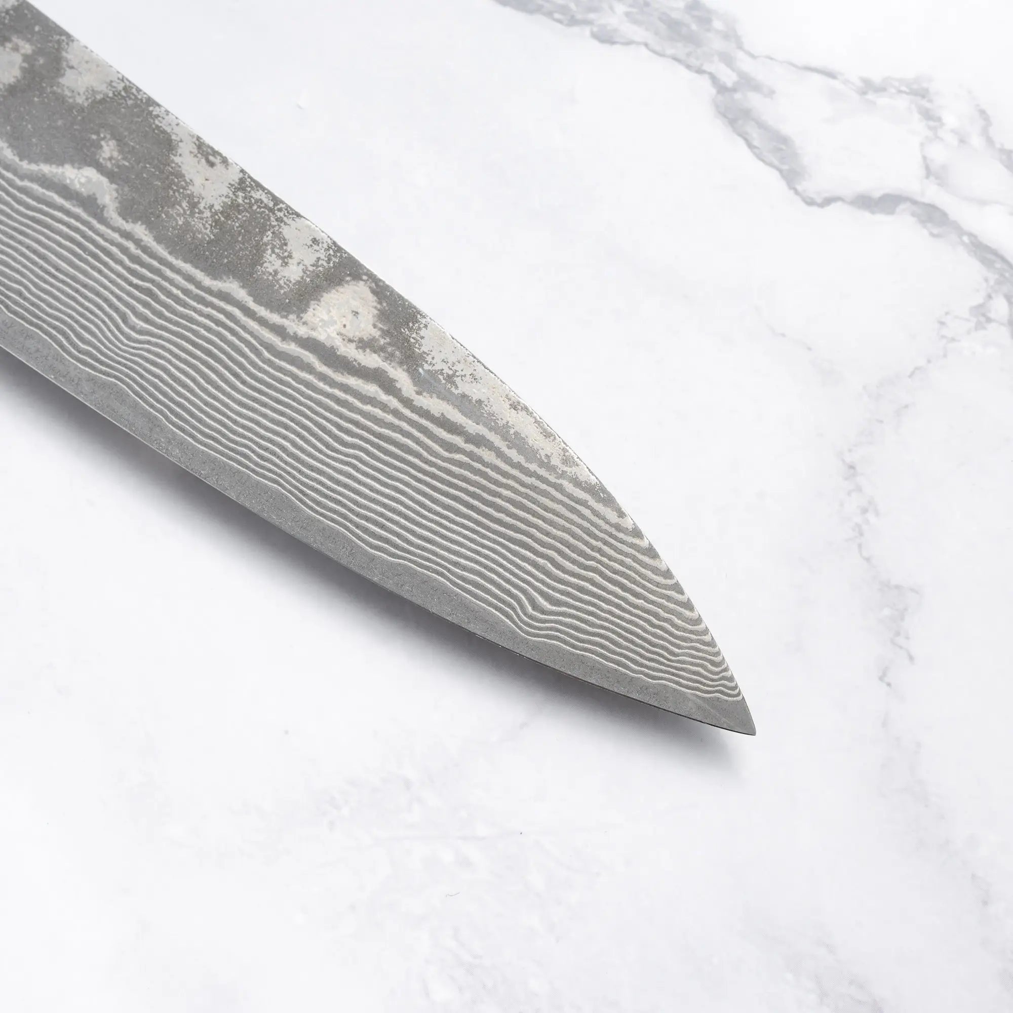 Takeshi Saji - VG10 - Damascus Black Finish - GYUTO - 240 mm