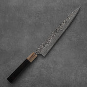 Takeshi Saji R2/SG2 Black finish Damascus Sujihiki 240 mm