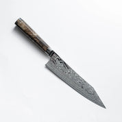 RYUSEN - OUKOKURYU MT - SG2 - Gyuto - 210 mm