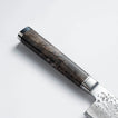 RYUSEN - OUKOKURYU MT - SG2 - Gyuto - 210 mm