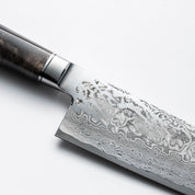 RYUSEN - OUKOKURYU MT - SG2 - Gyuto - 210 mm