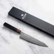 FineCraft - 67 réteg damaszk - VG10 - KIRITSUKE GYUTO - 210 mm