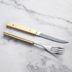 Ryusen Steak kés és villa szett