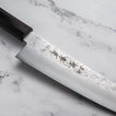 Sakai Takayuki - VG10 - Nashiji - Gyuto - 210mm