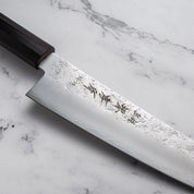 Sakai Takayuki - VG10 - Nashiji - Gyuto - 210mm
