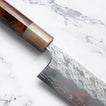 Yoshimi Kato "Hyo" - SG2 - SANTOKU - 170mm