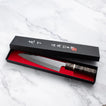 Takesi Saji - SPG STRIX - GYUTO - 210 mm