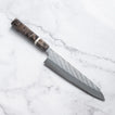 Takesi Saji - SPG STRIX - GYUTO - 210 mm