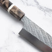 Takesi Saji - SPG STRIX - GYUTO - 210 mm