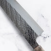 Takesi Saji - SPG STRIX - GYUTO - 210 mm