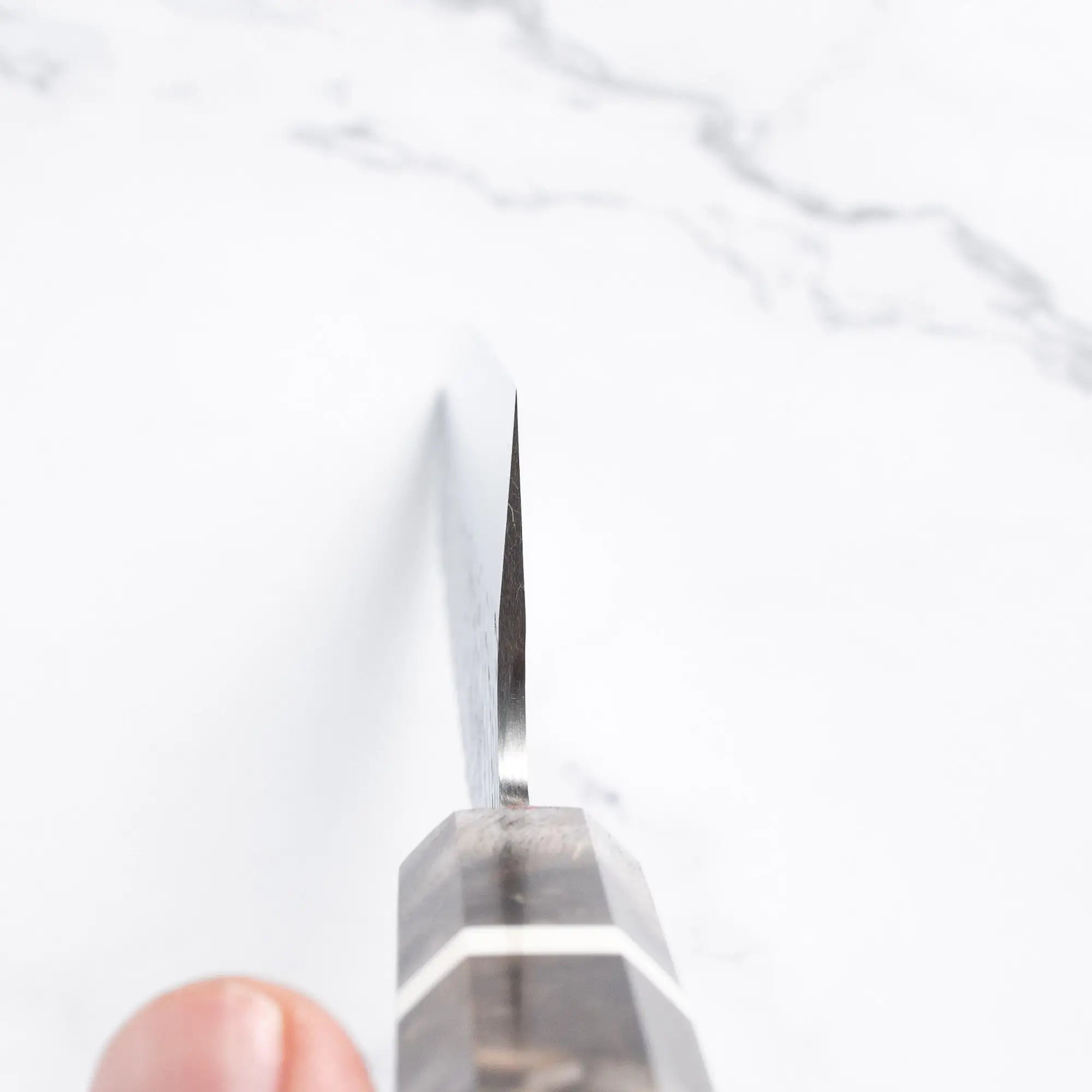 Takesi Saji - SPG STRIX - GYUTO - 210 mm