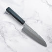 Touroku 69 layer damascus VG10 SANTOKU - 170mm