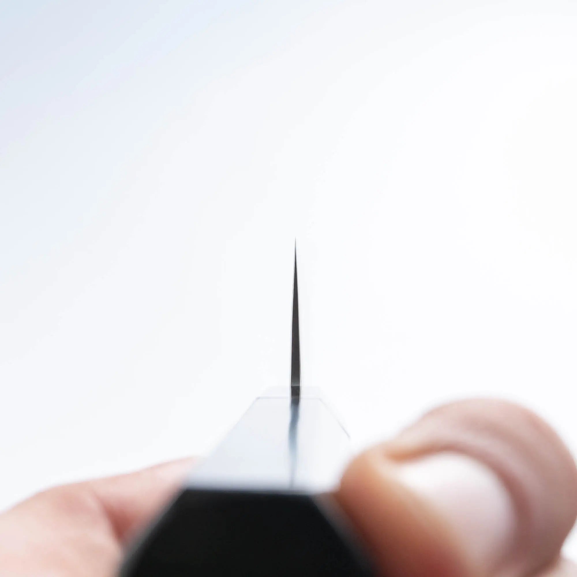 SAKAI KIKUMORI - SLD SANTOKU 180 mm ébenfa markolat.