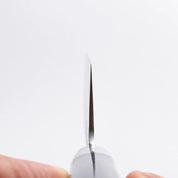 SAKAI TAKAYUKI - 17 Layer Hammered Damascus - NAKIRI - AUS10 - 160mm