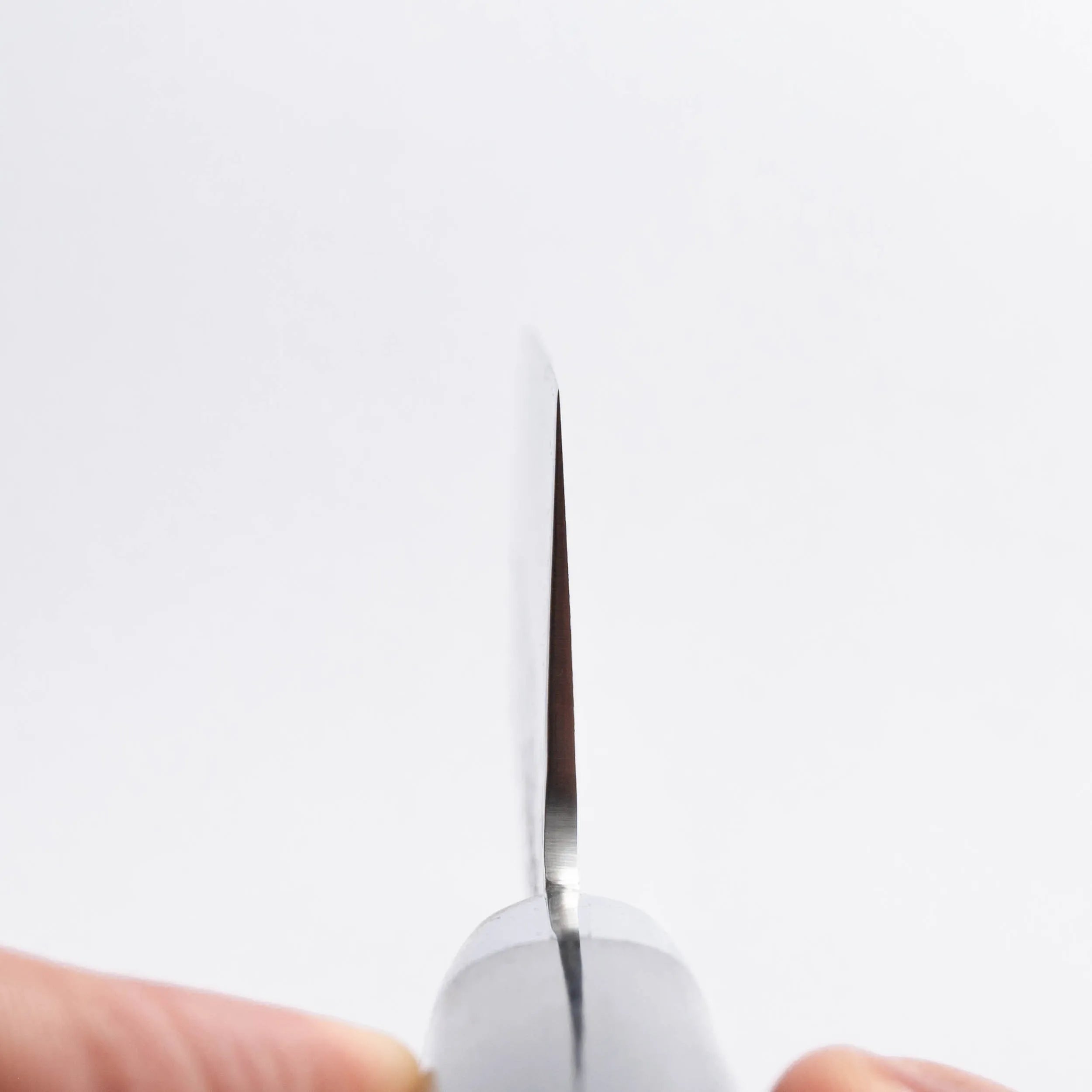 SAKAI TAKAYUKI - 17 Layer Hammered Damascus - NAKIRI - AUS10 - 160mm