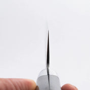 SAKAI TAKAYUKI - 17 Layer Hammered Damascus - SANTOKU - AUS10 - 180mm