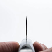 SAKAI TAKAYUKI - 17 Layer Hammered Damascus - GYUTO - AUS10 - 210mm