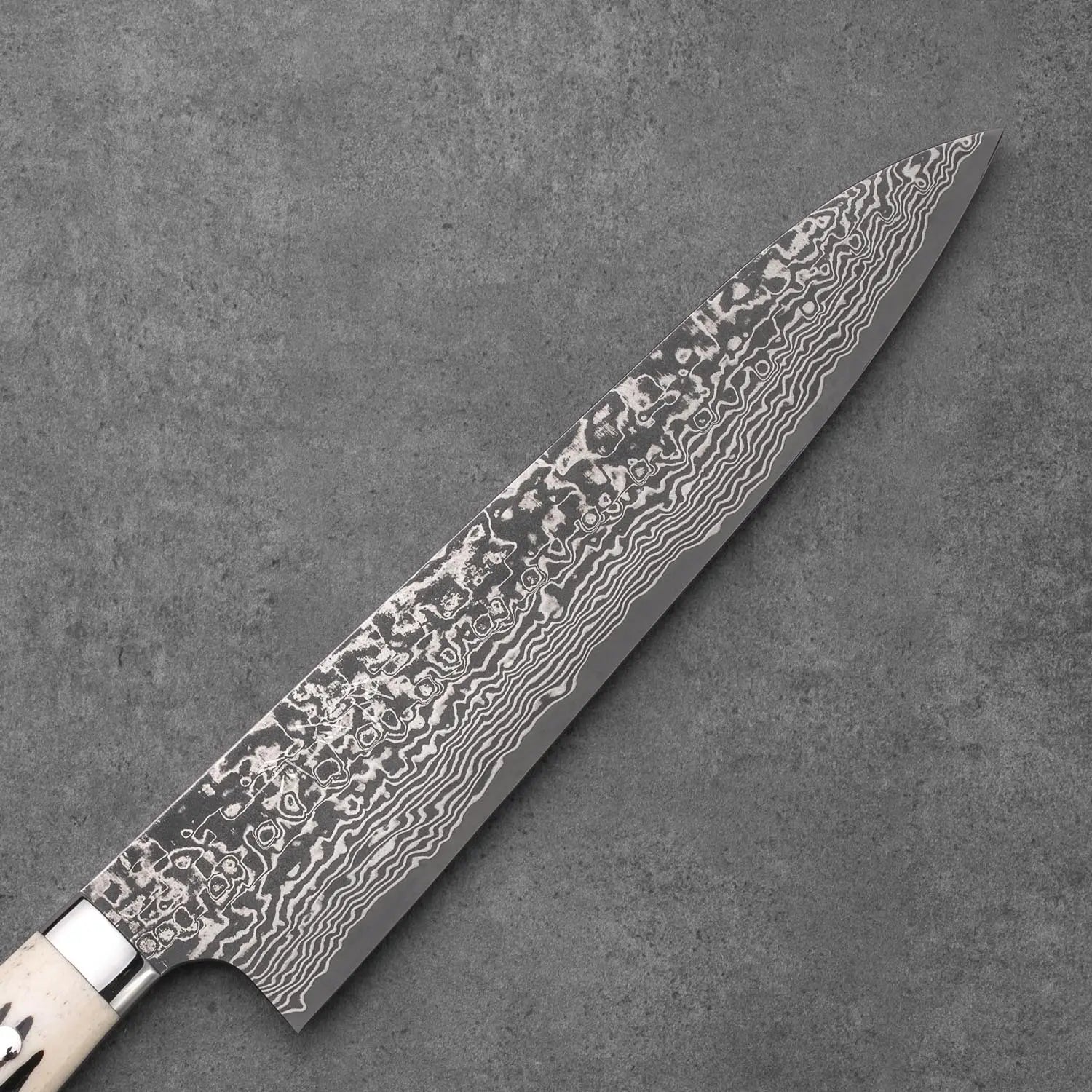 GYUTO - Fekete (Nikkel) Damaszk - Agancs - SG2 - 240mm