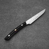 Takeshi Saji STEAK KÉS - Gyémánt Damaszk - Micarta /- SG2 - 130mm